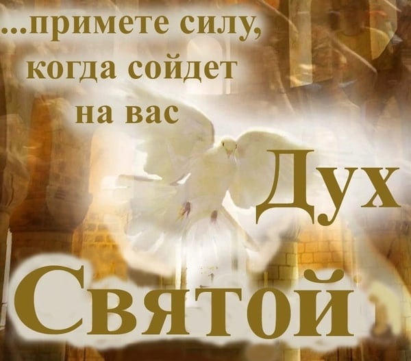 13 июня 2022 год — День Святого Духа. С 13 по 19 июня — Троицкая седмица сплошная. 